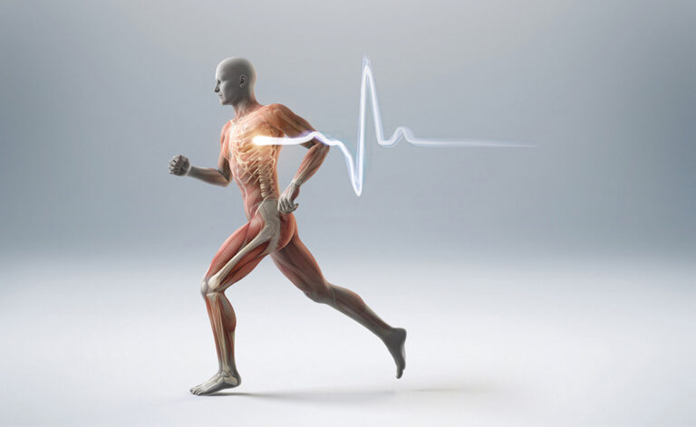 Es kommt darauf an, Herz-Kreislauf-Erkrankungen und Osteoporose frühzeitig zu erkennen!