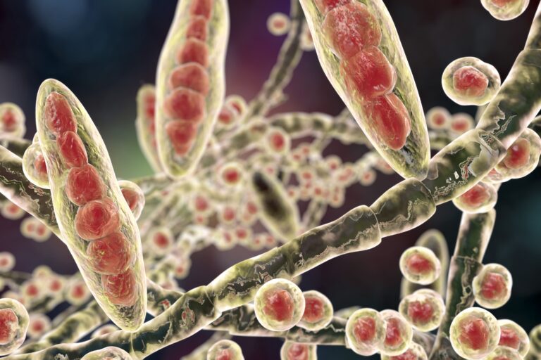 Dermatophyten-Infektionen bei Kindern und Erwachsenen