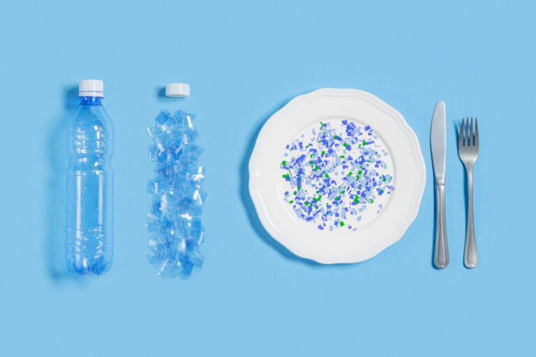 Life in plastic … ist nicht fantastic