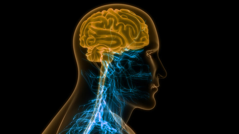 Störungen der Hirn-, Rückenmarks- und Nervenfunktion