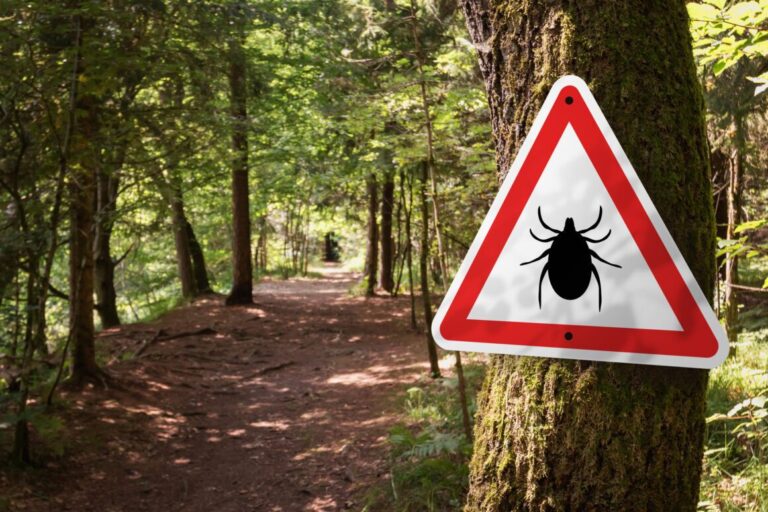Wann ist eine serologische Abklärung sinnvoll?